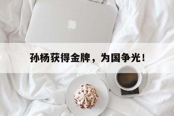 九游游戏盒子下载安装-孙杨获得金牌，为国争光！