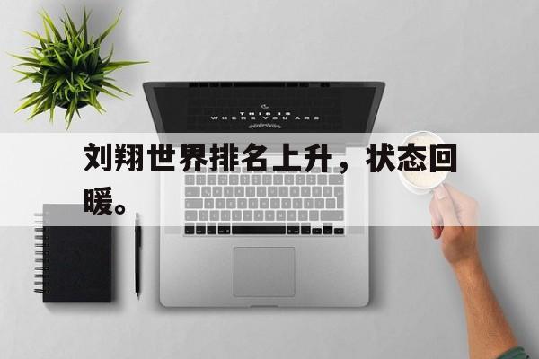 九游游戏盒子下载安装-刘翔世界排名上升，状态回暖。