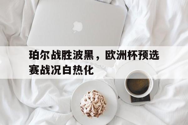 九游游戏盒-珀尔战胜波黑，欧洲杯预选赛战况白热化