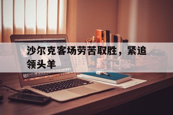 九游游戏盒子下载安装-沙尔克客场劳苦取胜，紧追领头羊