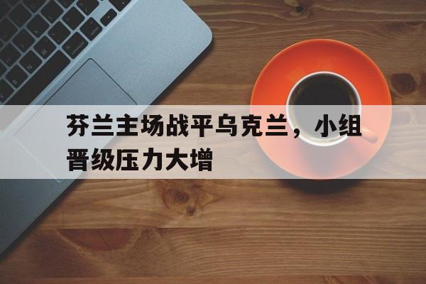 九游游戏盒-芬兰主场战平乌克兰，小组晋级压力大增